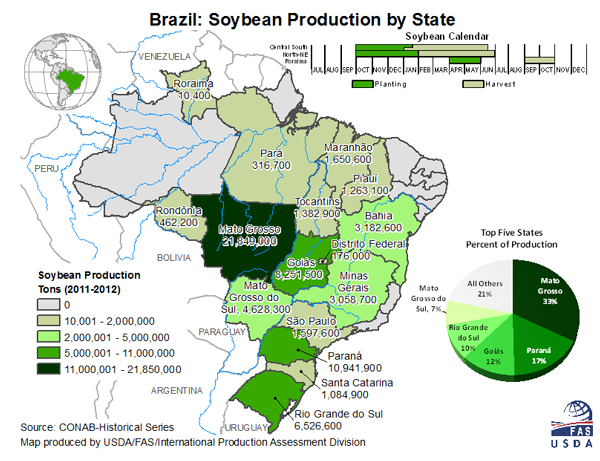Brazil Beans By State